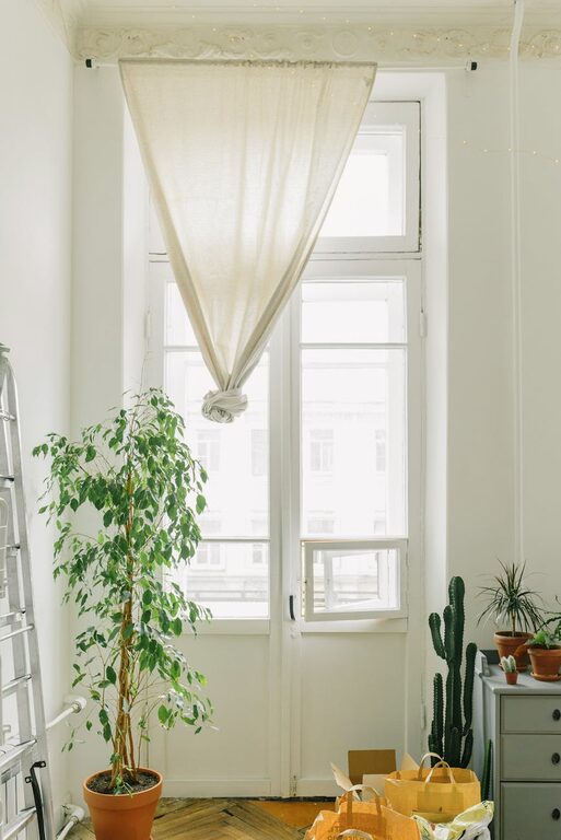 How to Refresh Your Home with Plants: Simple Tips for a Greener Space